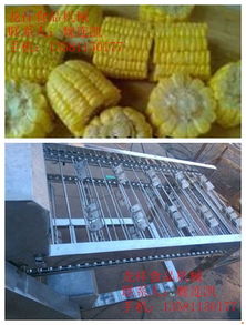 毛刷蔬菜清洗生产线 所有行业行业资讯 博兴县兴福镇龙祥食品机械厂