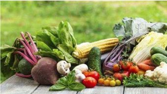 如何界定 食品安全法 规定的食用农产品的范围